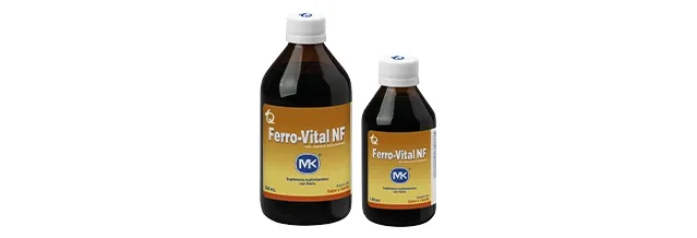 Hierro + Vitaminas del Complejo B - Ferrovital NF MK® Jarabe